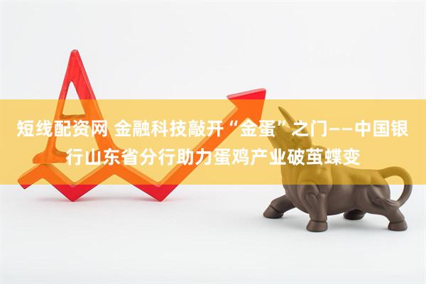 短线配资网 金融科技敲开“金蛋”之门——中国银行山东省分行助力蛋鸡产业破茧蝶变